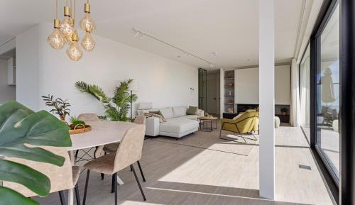 Penthouse Apartment