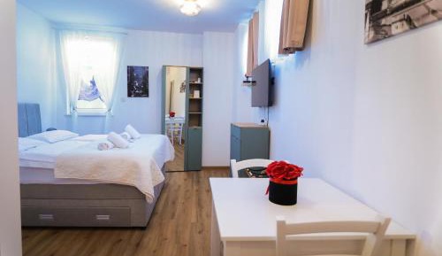 Semi-Basement Studio Apartment with Window