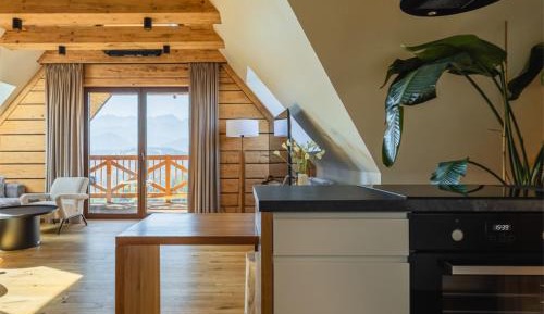 One-Bedroom Apartment with Balcony and Mountain View  