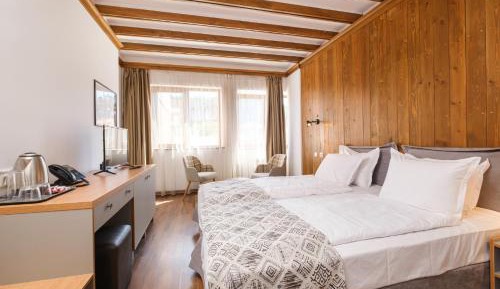 Double Room with Mountain View