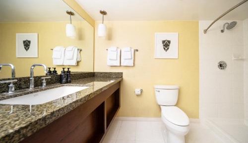 Newly Renovated Resort Superior King