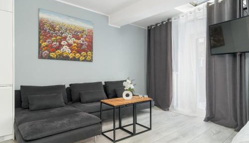 Studio - Split Level