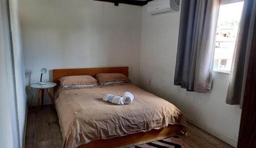 Classic Apartment