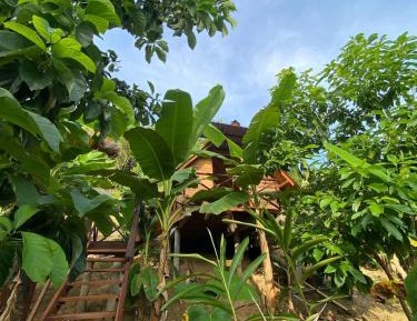Bungalow