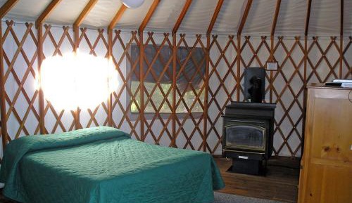 Yurt - Meadow