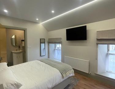 Room #1379746901