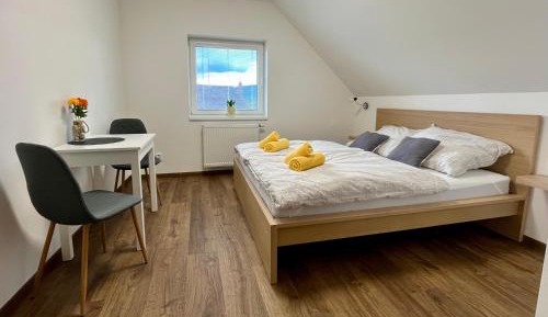 Double Room with Park View