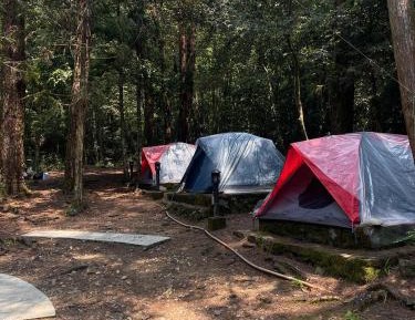 Tent