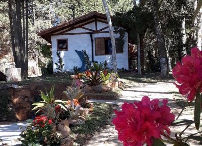 Deluxe Bungalow