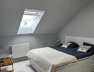 Classic One-Bedroom Apartment with King Bed