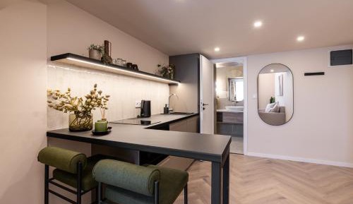 Superior Apartment with City View