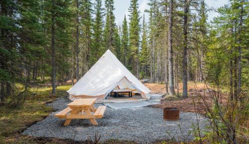 Glamping Canvas Bell Tent (walk-in)