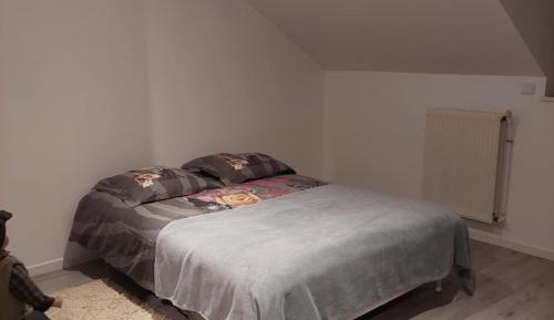 Standard Double Room with Shared Bathroom