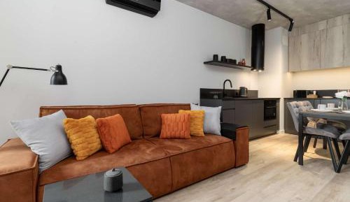 Deluxe One-Bedroom Apartment