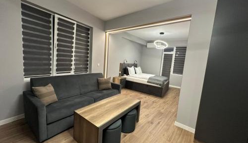 King Studio with Sofa Bed