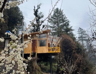 One-Bedroom Chalet