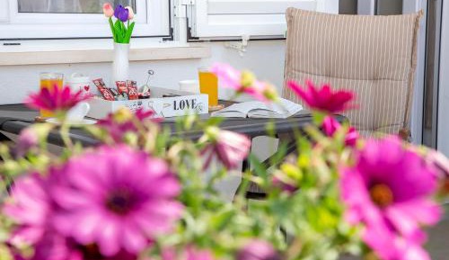 Studio with Garden View