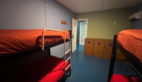 Bed in 4-Bed Dormitory Room