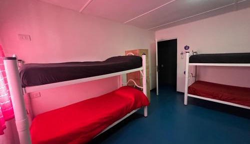 Bed in 6-Bed Mixed Dormitory Room