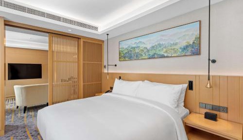 Deluxe King Suite