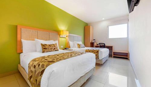 Double Room with Two Double Beds