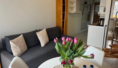 Suite Apartment