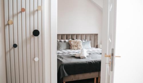 One-Bedroom Premier Apartment