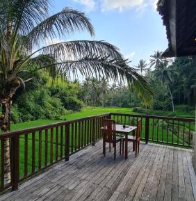 One-Bedroom Villa