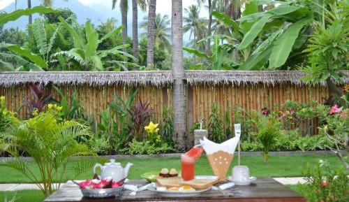 Deluxe Double or Twin Room with Garden View