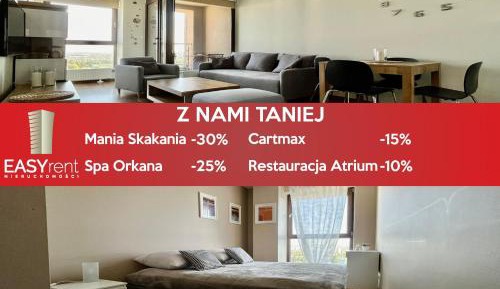 Two-Bedroom Apartment with City View