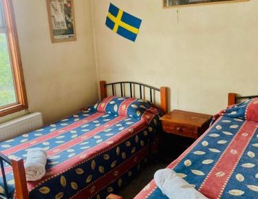Single Bed in Mixed Dormitory Room