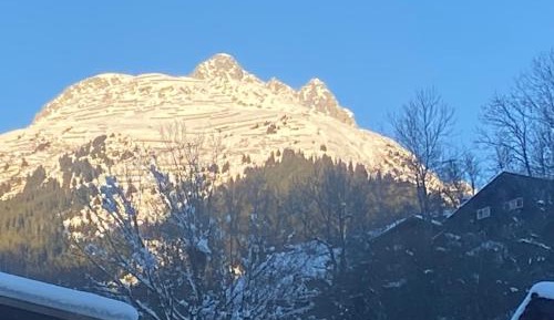 Two-Bedroom Apartment with Mountain View