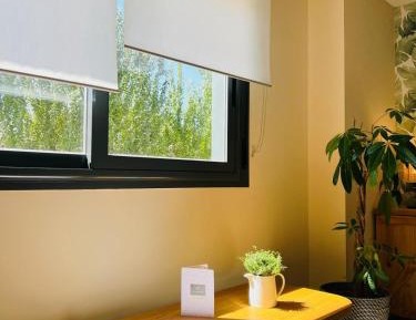 One-Bedroom Deluxe Apartment