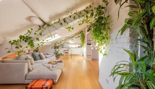 Penthouse Apartment