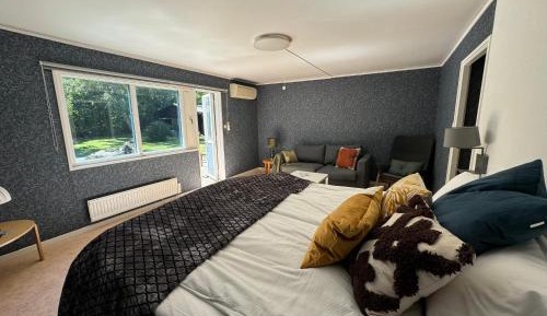 Room #925308509