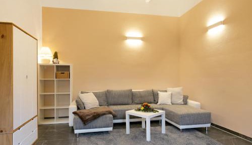 Superior One-Bedroom Apartment