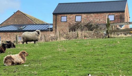 Four-Bedroom Holiday Home