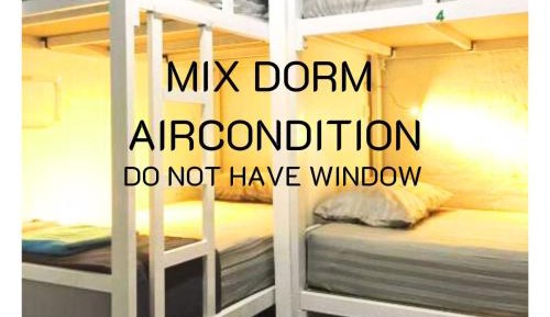Bunk Bed in Mixed Dormitory Room