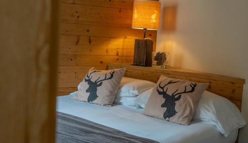 Superior Double or Twin Room with Mountain View