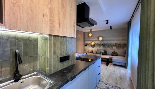 Classic Apartment