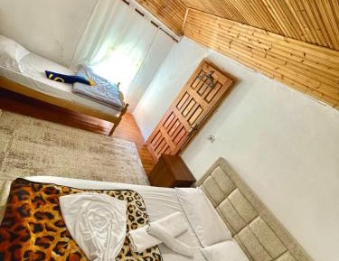 Double or Twin Room with Mountain View