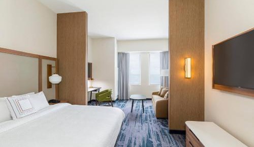Suite, 1 King, Sofa bed