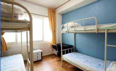 Bunk Bed in Female Dormitory Room  