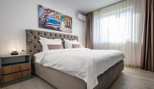 One-Bedroom Premier Apartment
