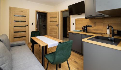 One-Bedroom Family Apartment