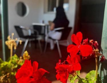 Studio (2-3 Adults)