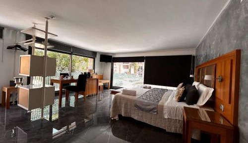 Deluxe Double or Twin Room with City View