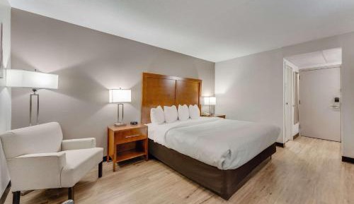 King Room - Disability Access/Non Smoking 