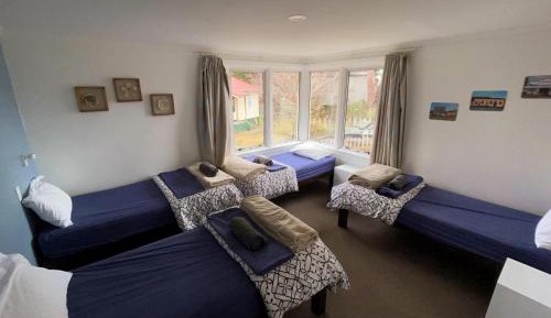 Bed in 4-Bed Mixed Dormitory Room