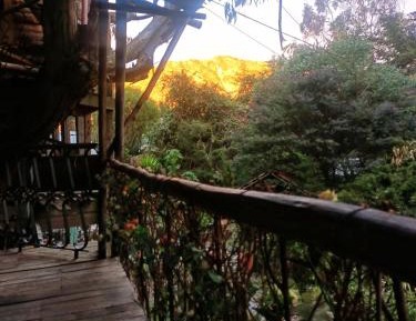 Double Room with Park View